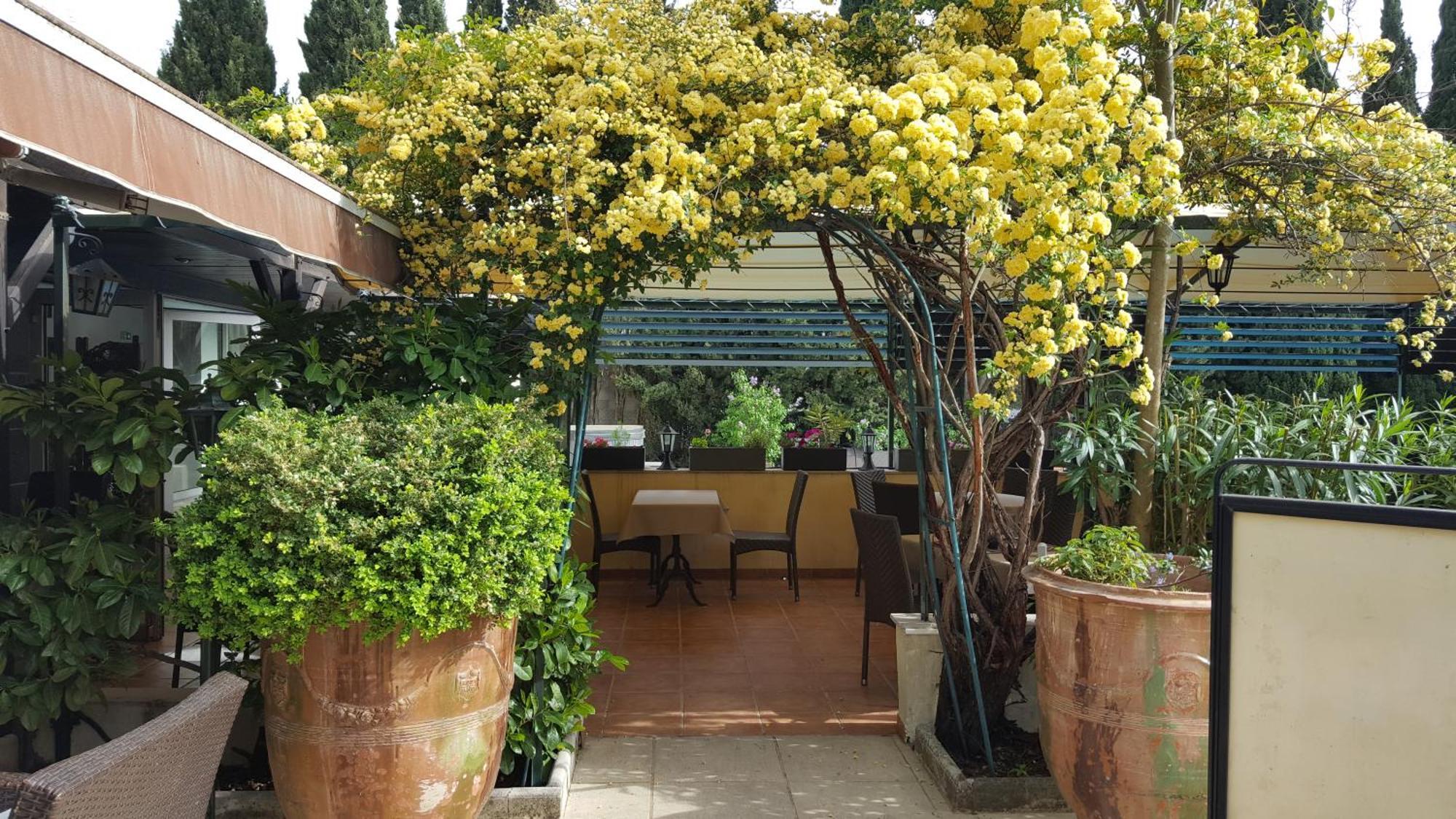 Logis Hotel - Restaurant Residence Les Cedres Villeneuve-les-Avignon Luaran gambar