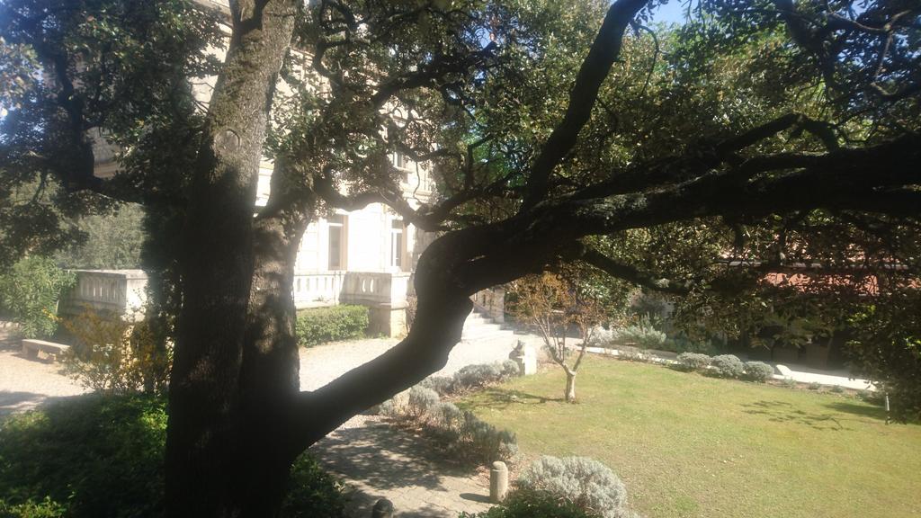 Logis Hotel - Restaurant Residence Les Cedres Villeneuve-les-Avignon Luaran gambar